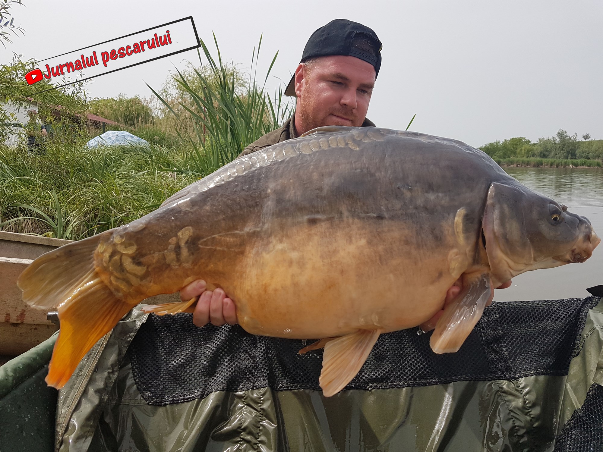 Balata LAZAR Alexandria  15 - 17 mai 2020 - 7.jpg